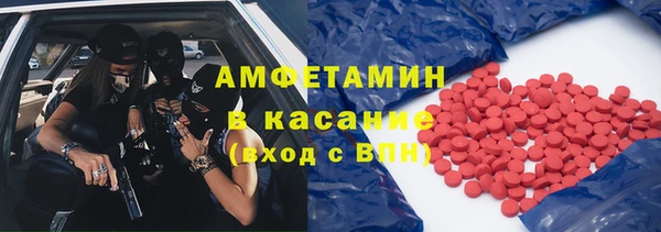 индика Дмитров