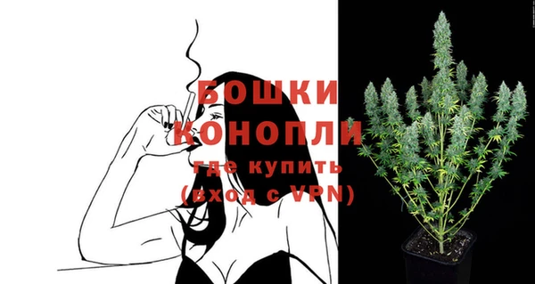 первитин Ельня