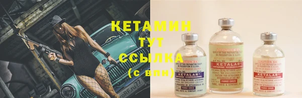 индика Дмитров