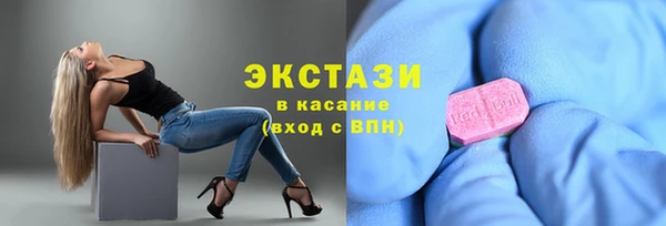 индика Дмитров