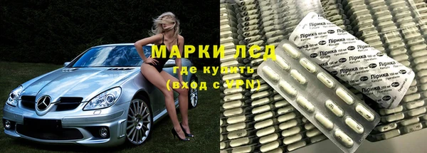 индика Дмитров