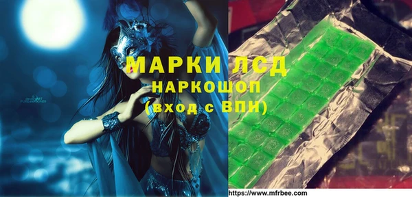 индика Дмитров