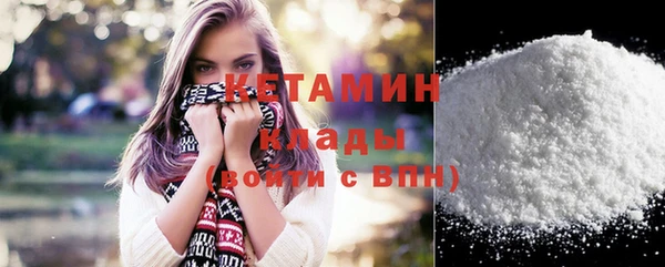 индика Дмитров