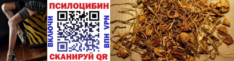 закладка Сковородино Псилоцибиновые грибы мухоморы