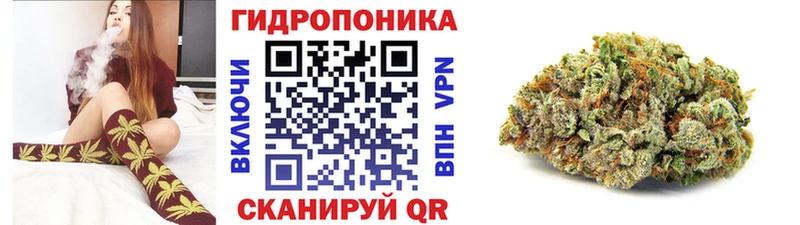 MEGA вход Сковородино Канабис индика